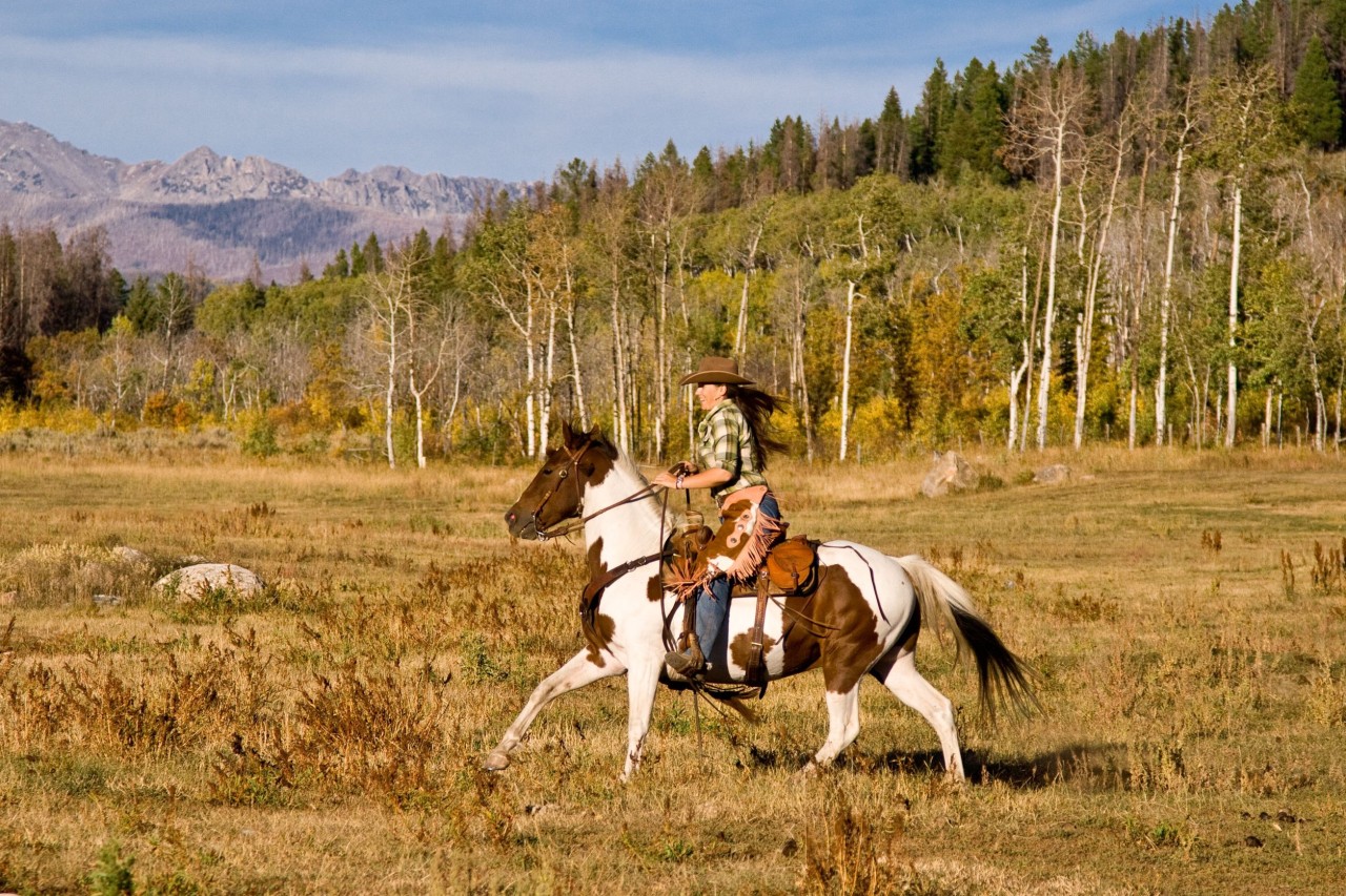 Wild West Town
